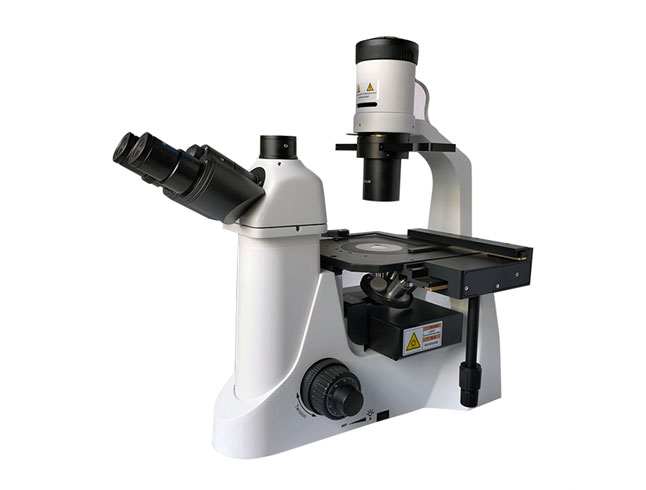 知識(shí)分享-熒光和熒光顯微鏡基礎(chǔ)知識(shí)