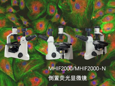 明慧倒置熒光顯微鏡型號：適配多場景需求，賦能科研與實驗