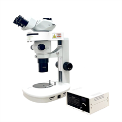 體視熒光MHZF700主體 - 240