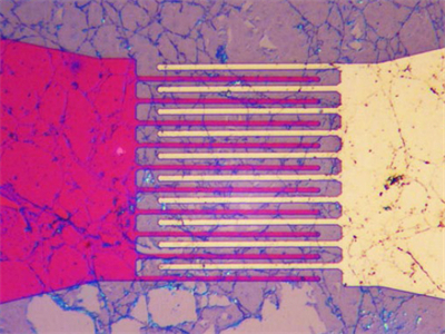 電極，反射，明場
