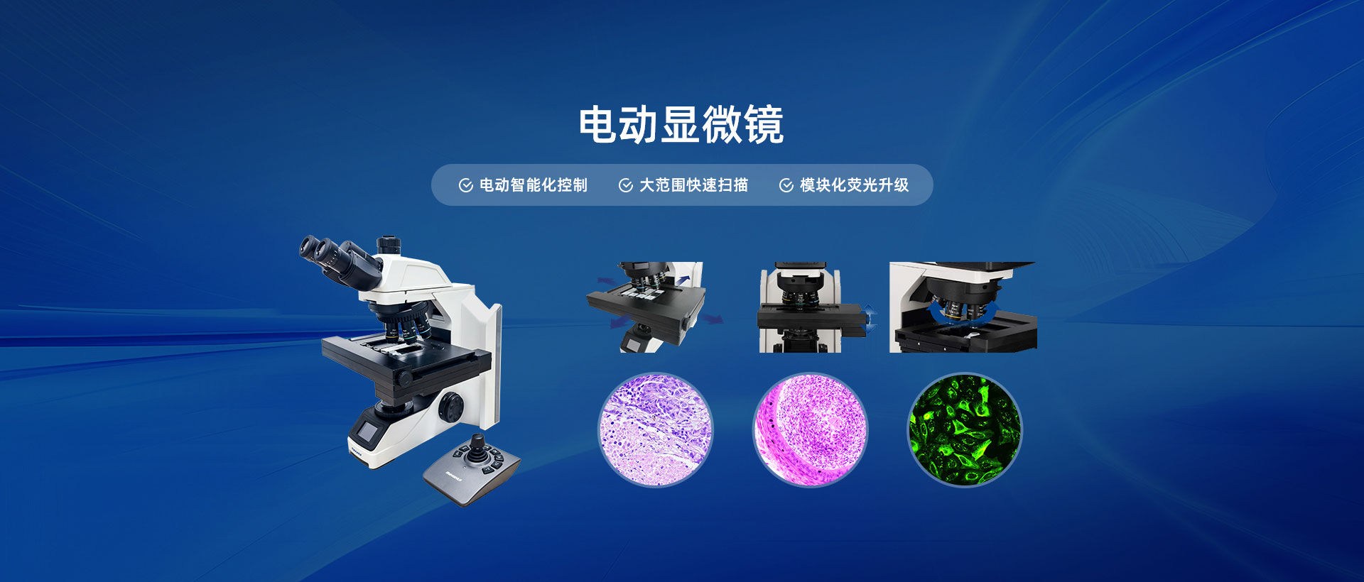 電動(dòng)顯微鏡-電動(dòng)智能化控制,大范圍快速掃描,模塊化熒光升級(jí)