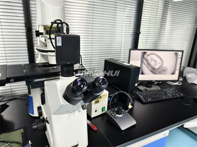 NIB910倒置顯微鏡應(yīng)用于斑馬魚心臟研究