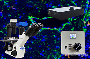 四孔電動倒置熒光附件FL4-LED-DIMH (7) - 副本