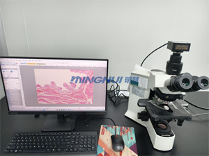 數(shù)碼顯微鏡相機廠家-明慧顯微鏡相機MHD2100-應(yīng)用案例