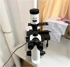 MHIL-200倒置生物顯微鏡應用于精子觀察.jpg