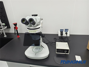 體視熒光顯微鏡MHZF700應用于果蠅熒光研究1.jpg