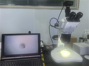 明慧體視顯微鏡MHZ201和攝像頭MHD2000應(yīng)用于魚卵研究觀察1