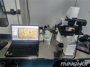 倒置生物顯微鏡MHIL150+相機(jī)MHD800應(yīng)用于細(xì)胞觀察