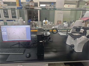 體視顯微鏡MHZ201與倒置生物顯微鏡MHIL-150應(yīng)用于線蟲研究1