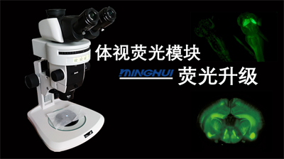 體視熒光模塊-熒光升級